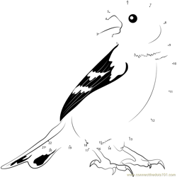 American Goldfinch Look Back Dot to Dot Worksheet