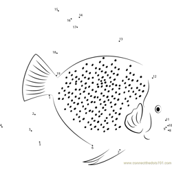Spotted Angelfish Dot to Dot Worksheet