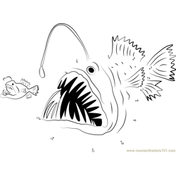 Big Anglerfish Eat Small Anglerfish Dot to Dot Worksheet