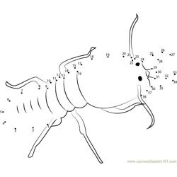 Bigg Ant Dot to Dot Worksheet