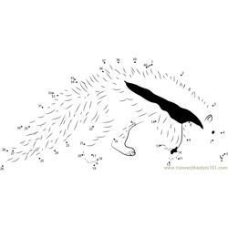 Young Giant Anteater White Black Dot to Dot Worksheet