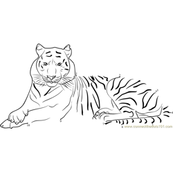 Bengal Tiger National Animal Of Bangladesh Dot to Dot Worksheet
