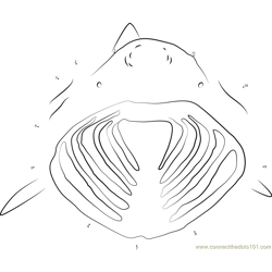 Basking Shark Open his Mouth Dot to Dot Worksheet