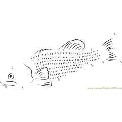 Bass Fish Dot to Dot Worksheet