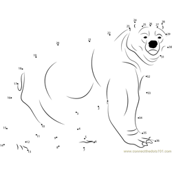 Kodiak Bear Dot to Dot Worksheet