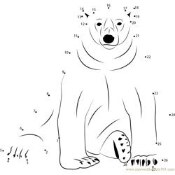 Sitting Polar Bear Dot to Dot Worksheet