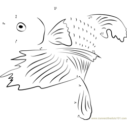 Betta Fish Look Back Dot to Dot Worksheet