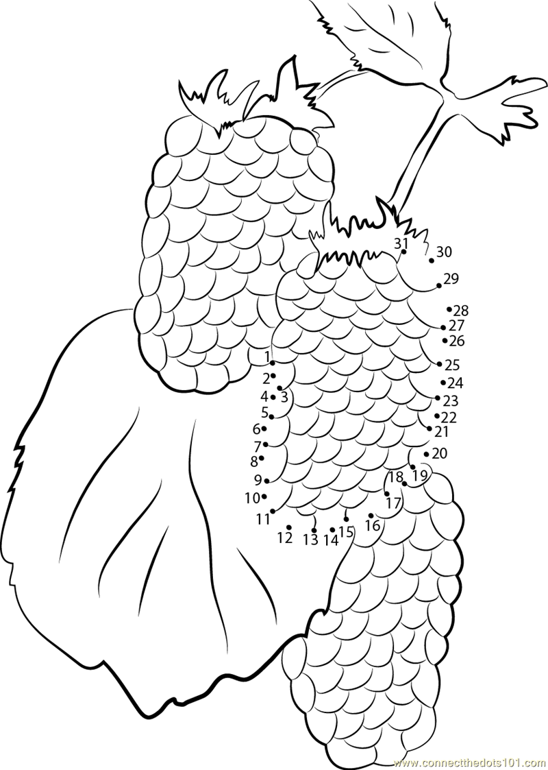 tay squilla coloring pages - photo #24