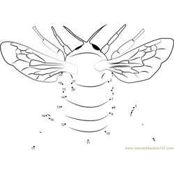 Honey Bumble Bee Dot to Dot Worksheet