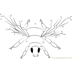 Insect Bumble Bee Dot to Dot Worksheet