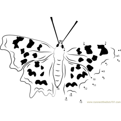 Endangered Butterflies Dot to Dot Worksheet