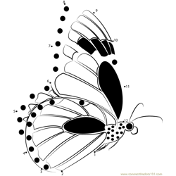 Monarch Butterflies Flying Dot to Dot Worksheet