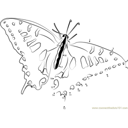 Swallowtail Butterfly Dot to Dot Worksheet