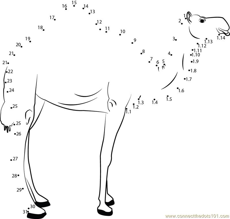 Image result for connect the dots camel