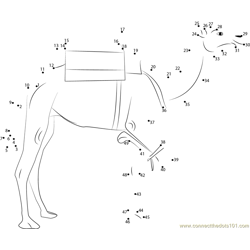 Camel Three Legs Dot to Dot Worksheet