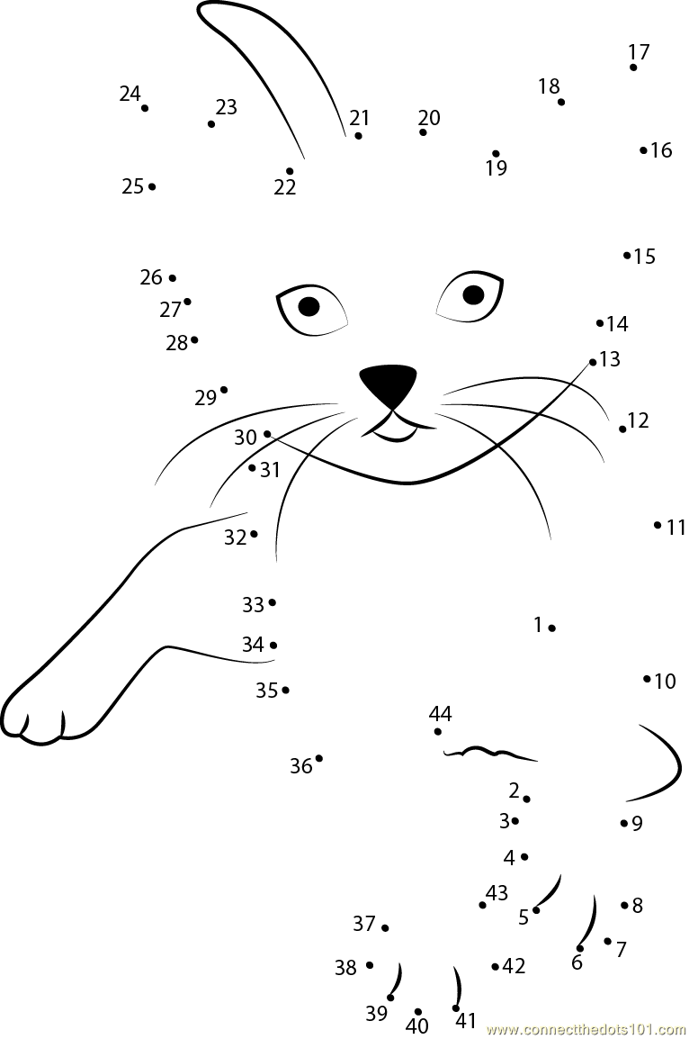 Cat Karate By Drezdany Dot To Dot Printable Worksheet Connect The Dots