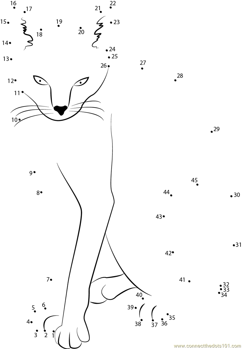 Wow cat dot to dot printable worksheet Connect The Dots