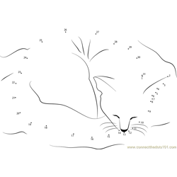 Sleeping Cat bad Dot to Dot Worksheet