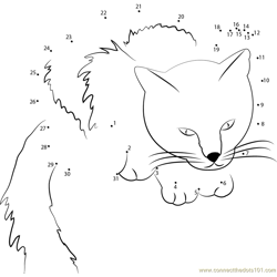 Cat noty Dot to Dot Worksheet