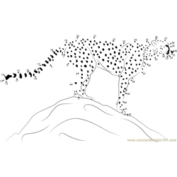 Adult Cheetah Standing Dot to Dot Worksheet