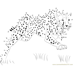 Bouncing Cheetah Dot to Dot Worksheet
