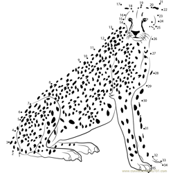 Cheetah Look at Me Dot to Dot Worksheet
