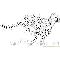 Cheetah Speed Running Dot to Dot Worksheet