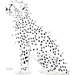 Cheetah at Rest Dot to Dot Worksheet