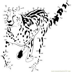 King Cheetah Run Dot to Dot Worksheet