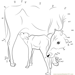 Indian Cow and Calf Dot to Dot Worksheet