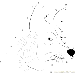 Coyote Face Dot to Dot Worksheet