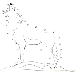 Coyote Howling Dot to Dot Worksheet