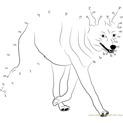 Coyote on the Run Dot to Dot Worksheet