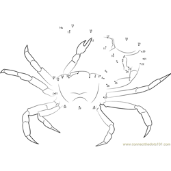 Gulf Mud Fiddler Crab Dot to Dot Worksheet
