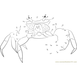 Halloween Crab Dot to Dot Worksheet