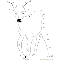 Deer Baby Dot to Dot Worksheet