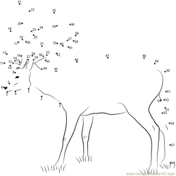 Deer Standing on Grass Dot to Dot Worksheet