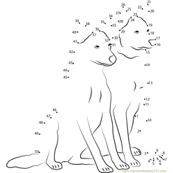 Two Dogs Together Dot to Dot Worksheet