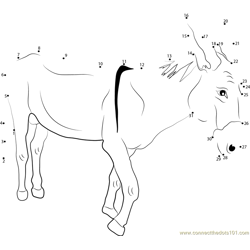 Donkeys Breeds Dot to Dot Worksheet