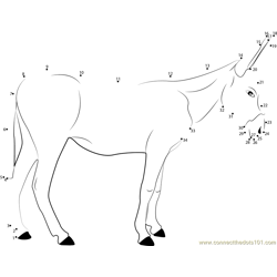 European Donkeys Dot to Dot Worksheet