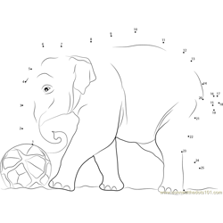 Elephant Play Football Dot to Dot Worksheet