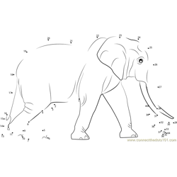 Sri Lankan Elephant Dot to Dot Worksheet
