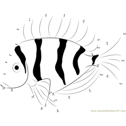 Fresh Water Fish Dot to Dot Worksheet