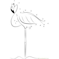 Flamingos Stand on One Leg in Water Dot to Dot Worksheet