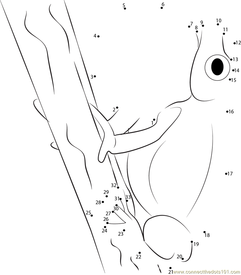 Frog On Tree Dot To Dot Printable Worksheet Connect The Dots Frog On Tree Dot To Dot Printable Worksheet Connect The Dots