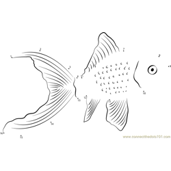 Sabao Goldfish Dot to Dot Worksheet