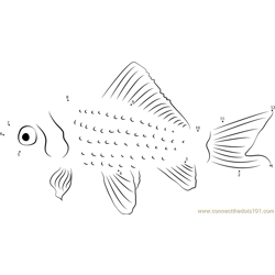 Shukin Goldfish Dot to Dot Worksheet