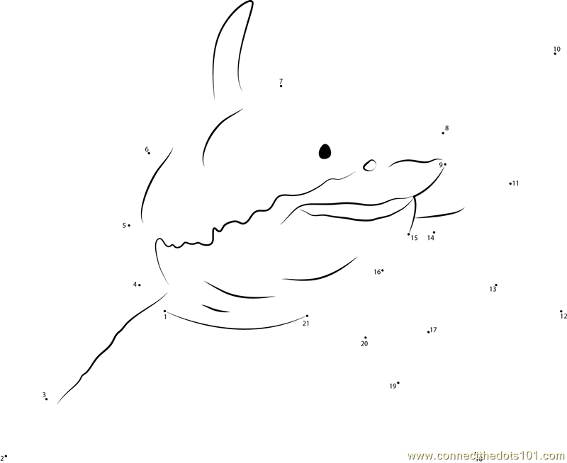 Great White Shark Dot To Dot Printable Worksheet Connect The Dots