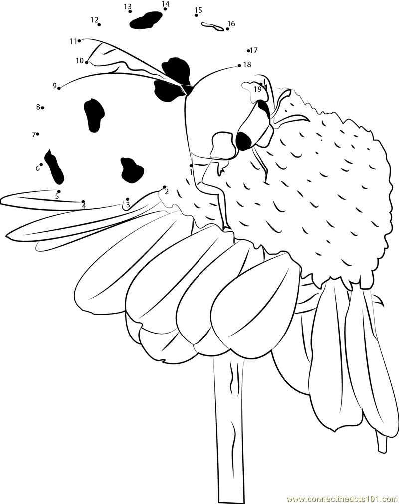 Ladybug Pollinate Flowers dot to dot printable worksheet - Connect The Dots
