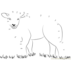 Lamb Nature's on the High Dot to Dot Worksheet